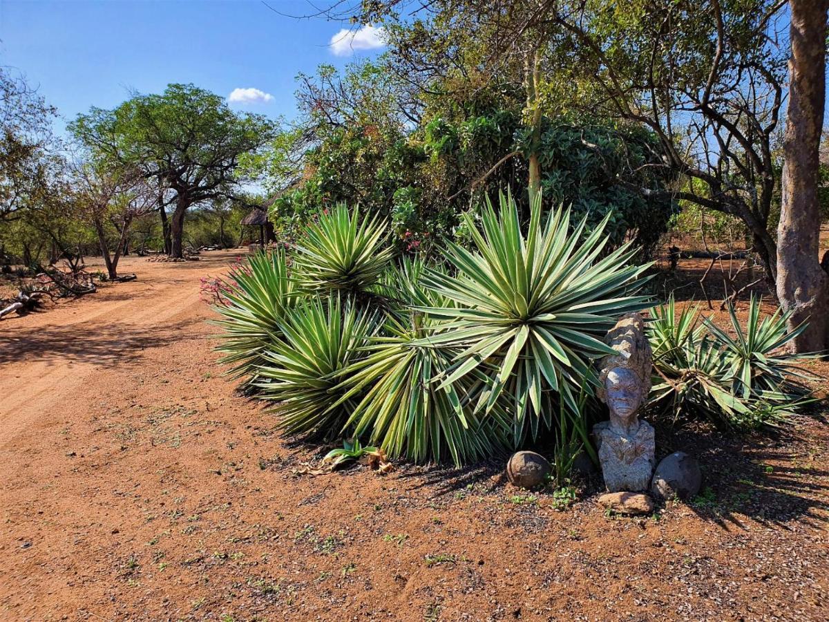 Masorini Bush Lodge & Safari Tents Пхалаборва Экстерьер фото
