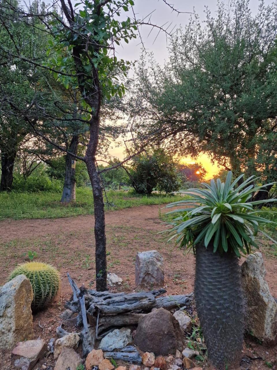 Masorini Bush Lodge & Safari Tents Пхалаборва Экстерьер фото